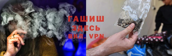 индика Абинск