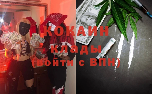 индика Абинск