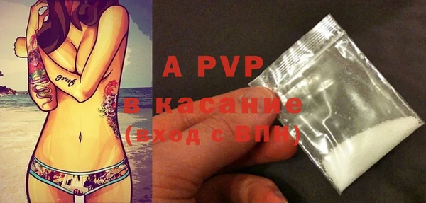 индика Абинск