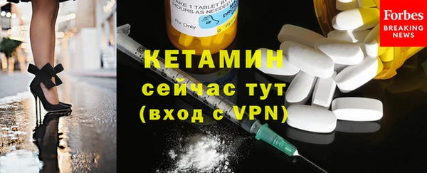 гашик Няндома