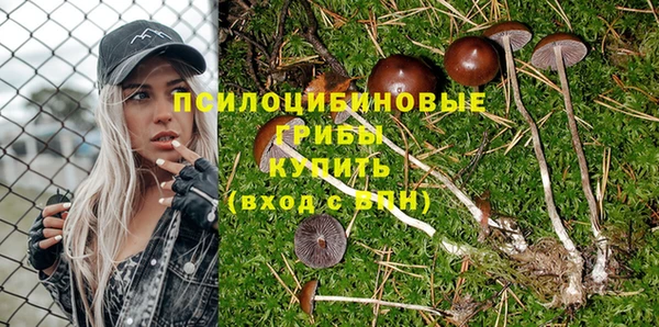 индика Абинск