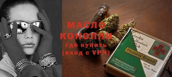 индика Абинск