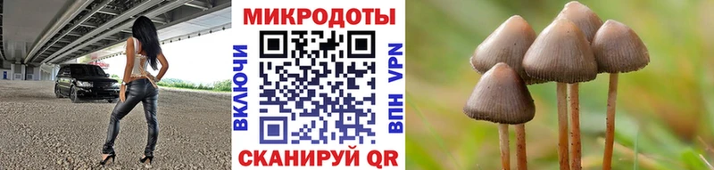 Галлюциногенные грибы мухоморы  продажа наркотиков  Лосино-Петровский 